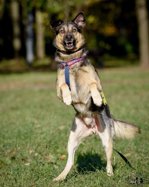 -Москва, услышьте зов Персея! в Москве фото 6