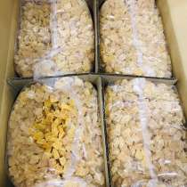 Цукаты Имбирь кубик 20 кг (4*5), в г.Одесса