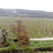 Продам яблоневый сад на земельном участке 1,8 гектар, в Бахчисарае