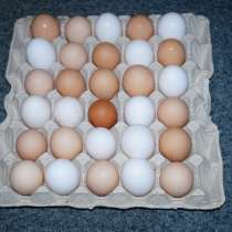 Куриное домашнее яйцо, в Каменске-Уральском