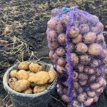 Продам картофель, в Красноярске