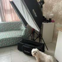 Комплект студийного оборудования Godox MS200V-F с софтбоксам, в Новосибирске