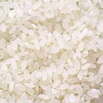 Рис, в Краснодаре