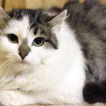 Застенчивый Энди надеется встретить своего человека, в Москве