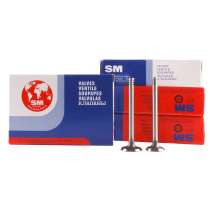 Клапан впускной SM на ВАЗ с 16-клапанным мотором, в Раменское