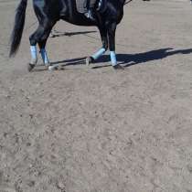 Конный спорт, верховая езда, в Улан-Удэ