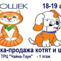 18-19 августа выставка продажа котят, в Москве