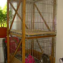 Содержание щенков и кошек в клетке, в Москве