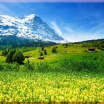 товары для дома и интерьера, в Тольятти