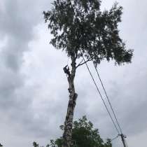 Удаление Деревьев, в Москве