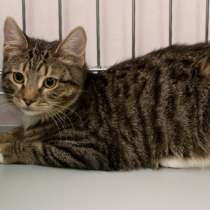 Спелый Крыжовник в поисках лучшего друга, в Москве