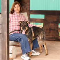 Общительный и ласковый пёс Енисей в добрые руки, в Москве