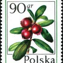 Марки 50gr 90gr Польша 1977 год Лесные ягоды, в Москве