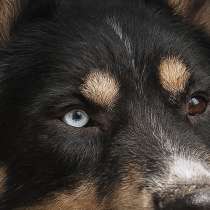 В него стреляли, но он выжил!, в Москве