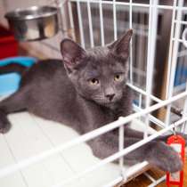 Грасиэла ждёт своего человека, в Москве