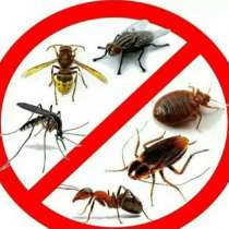 Уничтожение тараканов, клопов, устранение неприятных запахов, в Новосибирске