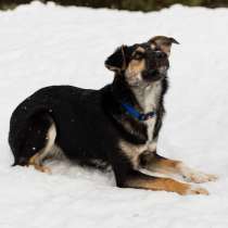 КОЗЯВОЧКА ЖДЕТ СВОЮ СЕМЬЮ, в г.Минск