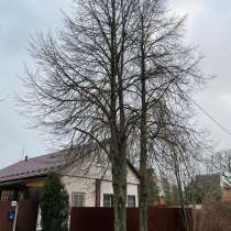 Дрова, в Москве