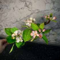 Веточка яблони из холодного фарфора, в Нижнем Новгороде