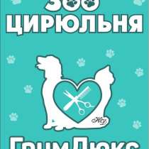 Грумер для собак на дому, в Москве