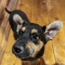 Мальчик в добрые руки, в Москве