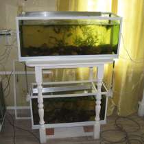 Акваферма, много аквариумов, не дорого, в Самаре