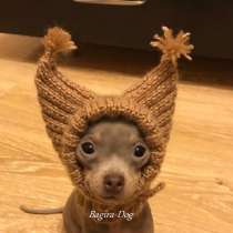 Шапки для чихуа, йорка, тоя, Ксоло, Перуанских голых собак, в Москве