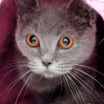 Нет повести печальнее на свете, в Москве