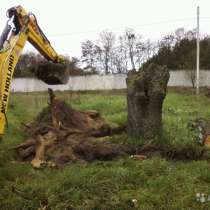 Расчистка участка демонтаж спил деревьев Кораблино, в Рязани