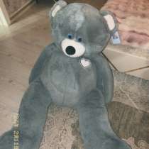 Большой плюшевый медведь, в Грозном