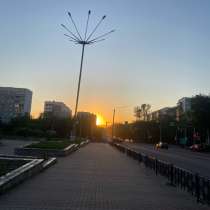 Могу выгуливать собак, в Сосновоборске