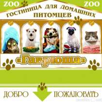 Приглашаем вас в гостиницу для собак Гаврюша, в Калининграде