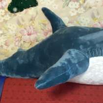 Плюшевая акула, в Твери