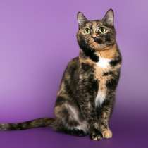 Трогательная Таша в ожидании настоящего чуда, в Москве