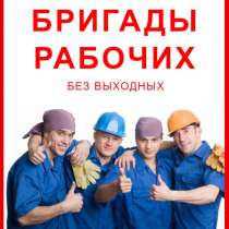 Грузчики; Переезды; Демонтаж; Вывоз мусора: Недорого! Ворон, в Воронеже