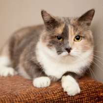 Стеснительная Ксюша ищет любящую семью, в Москве