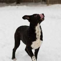 КРОШЕЧКЕ ОЧЕНЬ НУЖЕН ДОМ, в г.Минск