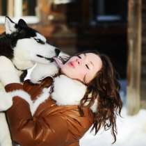 Щеночки Хаски. черно-белые. голубоглазые и разноглазые /, в Великих Луках