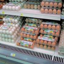 Упаковка для куриных яиц (ПЕТФ)12 гнезд коричнеая,прозрачная, в г.Днепропетровск