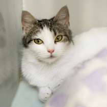 Любопытная Франя очень надеется обрести счастье, в Москве