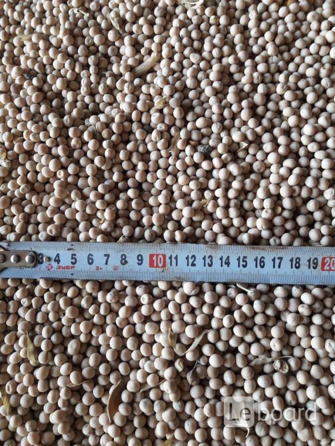 сравнить рапс и лён. льна по армянский. сои льна. сои льна. соя и лен.