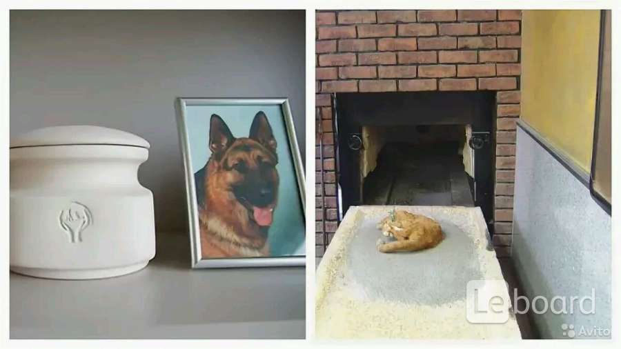 Индивидуальная кремация собаки. Ростовский крематорий кремация животных. Крематорий для домашних животных.