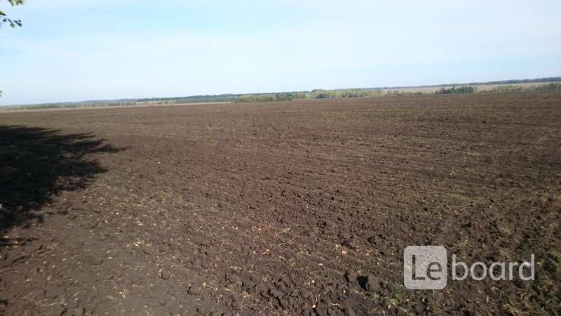 500 гектар. Пахотные земли. Пахотные земли в Заманкуле. Евпаторийские почвы.